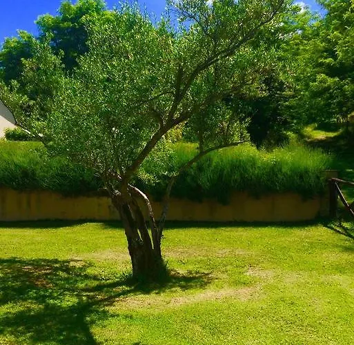 Acero Rosso * Civitella di Romagna